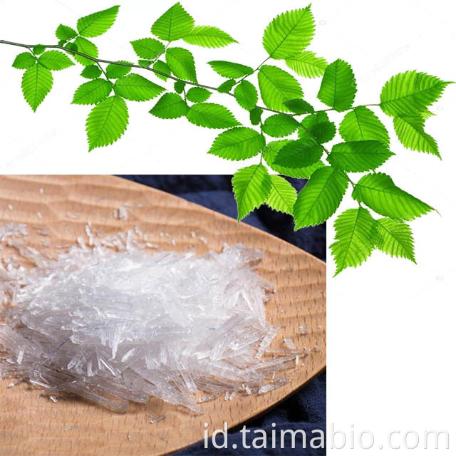 Agen pendingin Taima Mentol Ice 99,9%L harga mentol